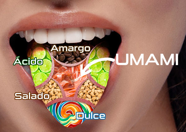 Glutamato: El sabor que atrapa, ¿adicción o simple deleite?