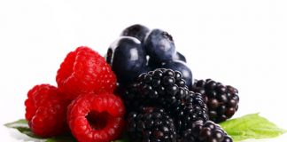 Podemos ayudar a nuestro Cerebro a evitar la Demencia y el Alzheimer? Cerebro demencia alzheimer polifenoles