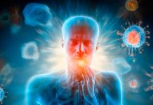 Inflammaging: El Enemigo Silencioso del Envejecimiento que Deberías Conocer Inflammaging: El Enemigo Silencioso del Envejecimiento que Deberías Conocer