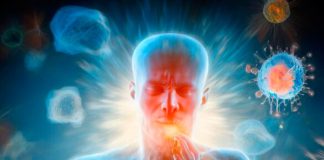 Inflammaging: El Enemigo Silencioso del Envejecimiento que Deberías Conocer Inflammaging: El Enemigo Silencioso del Envejecimiento que Deberías Conocer