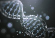 Los Exosomas en Medicina Estética: Lo que Prometen y lo que Debemos Esperar Los Exosomas en Medicina Estética: Lo que Prometen y lo que Debemos Esperar