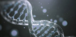 Los Exosomas en Medicina Estética: Lo que Prometen y lo que Debemos Esperar Los Exosomas en Medicina Estética: Lo que Prometen y lo que Debemos Esperar