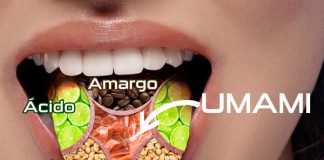 Glutamato: El sabor que atrapa, ¿adicción o simple deleite? Glutamato: El sabor que atrapa, ¿adicción o simple deleite?