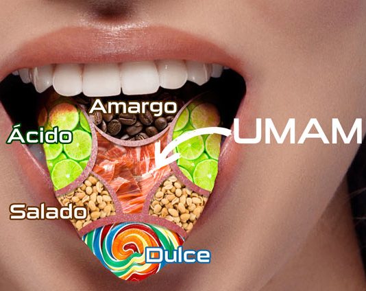 Glutamato: El sabor que atrapa, ¿adicción o simple deleite? Glutamato: El sabor que atrapa, ¿adicción o simple deleite?