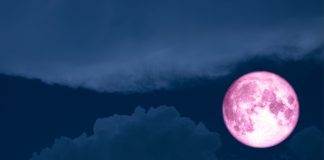 Esto le pasa a tu cuerpo en la Luna (y también en la Tierra) Esto le pasa a tu cuerpo en la Luna (y también en la Tierra)