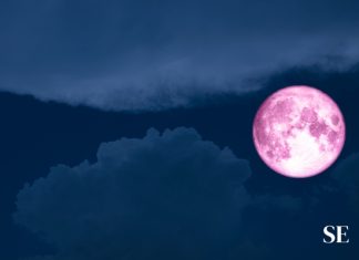 Esto le pasa a tu cuerpo en la Luna (y también en la Tierra) Esto le pasa a tu cuerpo en la Luna (y también en la Tierra)