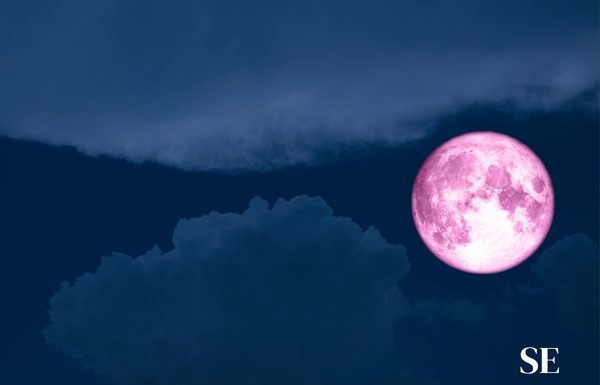 Esto le pasa a tu cuerpo en la Luna (y también en la Tierra) Esto le pasa a tu cuerpo en la Luna (y también en la Tierra)